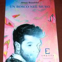 Un bosco nel muro - Alessio Brandolini - 2013