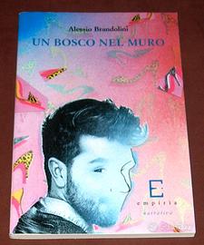 Un bosco nel muro - Alessio Brandolini - 2013