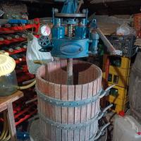 Torchio  idraulico + Pigiadispatrice elettrica