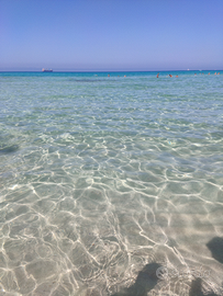 Gallipoli fronte mare libero luglio spiaggia 50mt