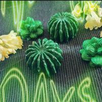 Cactus in gesso profumato 