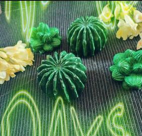 Cactus in gesso profumato 