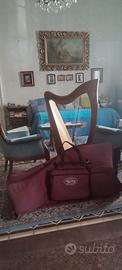 Arpa Celtica Dusty String modello Crescendo