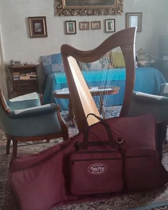 Arpa Celtica Dusty String modello Crescendo