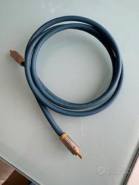 CAVI  RCA   NAKAMICHI