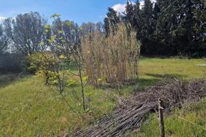 Terreno agricolo selargius con vecchia casetta in