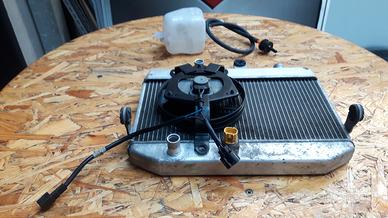 Radiatore acqua SUZUKI BURGMAN 400 K7 L6
