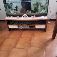 acquario