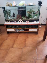 acquario