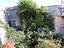 Immagine 23