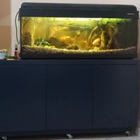 Acquario 100litri lungo 1 m