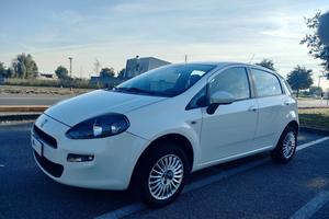 FIAT Punto 1.4 8V 5 porte Natural Power