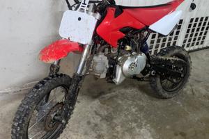 pit bike 110 automatica