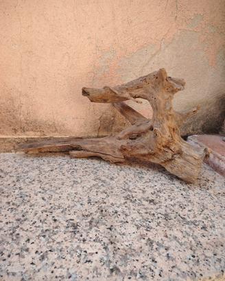 legno x acquario 
