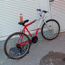 bici Frejus 
