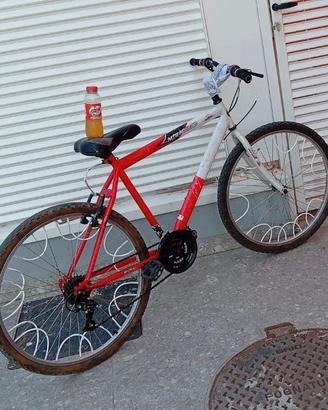 bici Frejus 