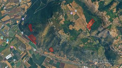 Terreno agricolo di 16 ettari con rudere