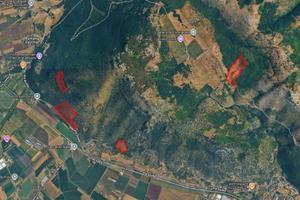 Terreno agricolo di 16 ettari con rudere