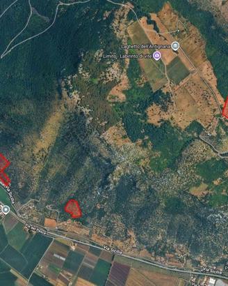 Terreno agricolo di 16 ettari con rudere