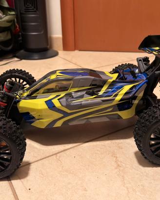 Rogue buggy hobbytech rc 1:8 3s