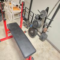 Panca piana Technogym pesi 200 kg 