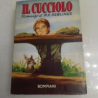 Il Cucciolo romanzo di Rawlings 1957 edit Bompiani