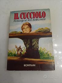 Il Cucciolo romanzo di Rawlings 1957 edit Bompiani