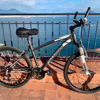 Bicicletta MTB Rockrider 5.1