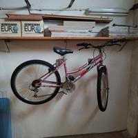 BICICLETTE IN PERFETTE CONDIZIONI