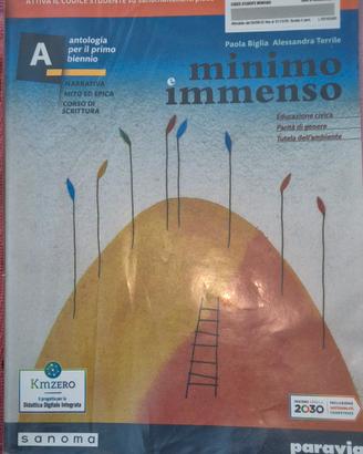 libro minimo e immenso usato