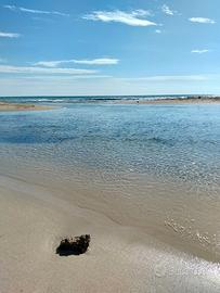 Appartamento al primo piano