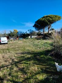 Terreno edificabile