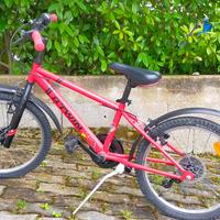 bici ragazzo 24"