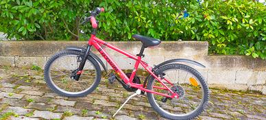 bici ragazzo 24"