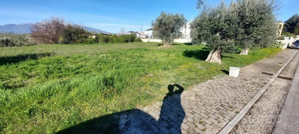 Immobile in asta di 6583 m² a Nereto - Vista 4