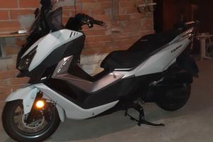 Sym Cruisym 300 - 2017