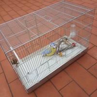 Gabbia uccelli 30x60
