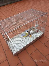 Gabbia uccelli 30x60