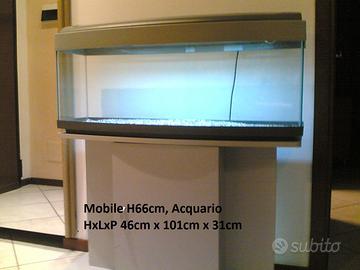 Acquario