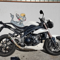 Triumph speed triple 1050
