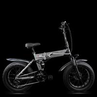 Bicicletta elettrica MOUNTAIN BIKE FRACTUM 48V 500