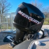 mercury optimax 90cv