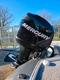 mercury optimax 90cv
