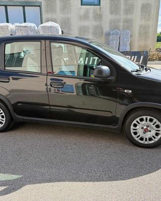 FIAT Panda 1.0 FireFly S&S Hybrid PREZZO REALE!!