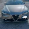 musata-alfa-giulia-