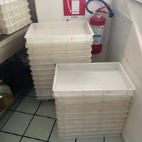 Contenitore plastica per lievitare pizze