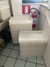 Contenitore plastica per lievitare pizze