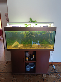 Acquario wawe 300l
