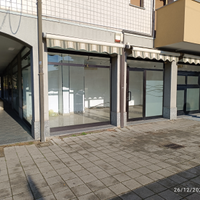 Locale 5 Vetrine con nuova Canna per Forno a Legna