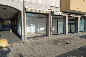 Locale 5 Vetrine con nuova Canna per Forno a Legna